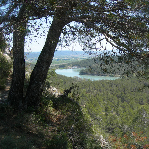 The ridge trail